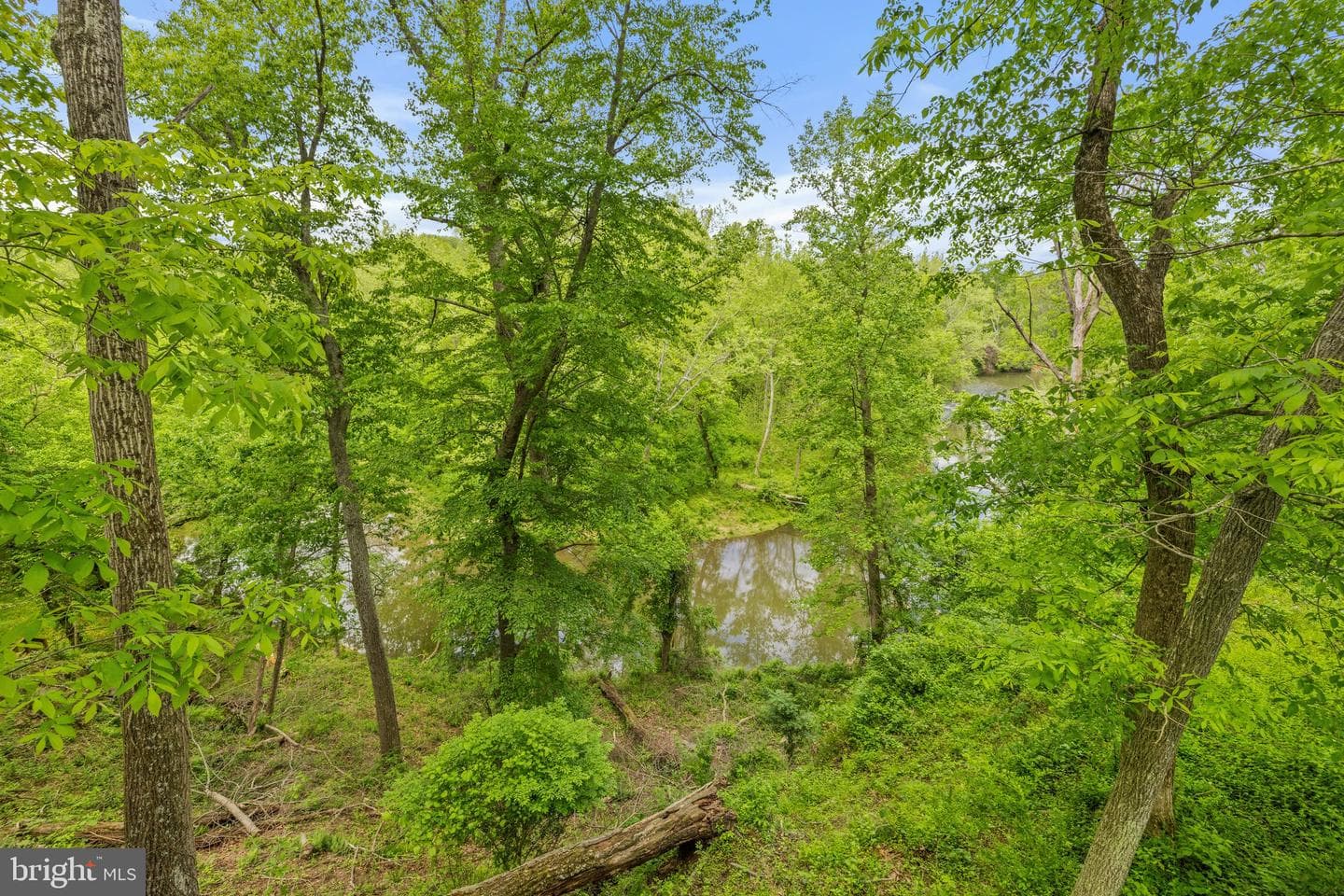 23103 Kirk Branch Road photo 58
