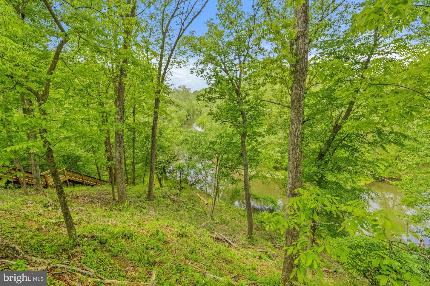 23103 Kirk Branch Road photo 59