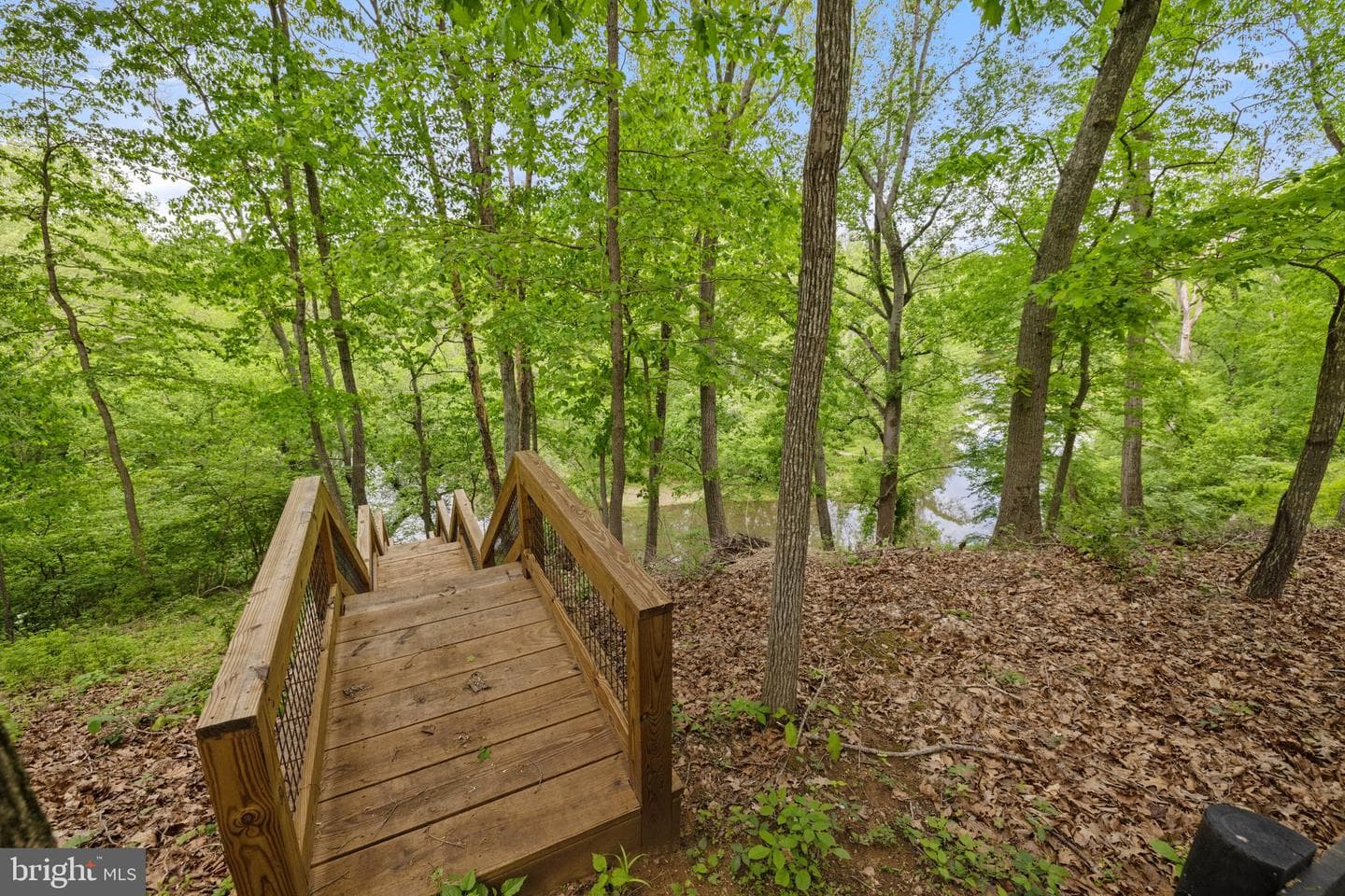 23103 Kirk Branch Road photo 62