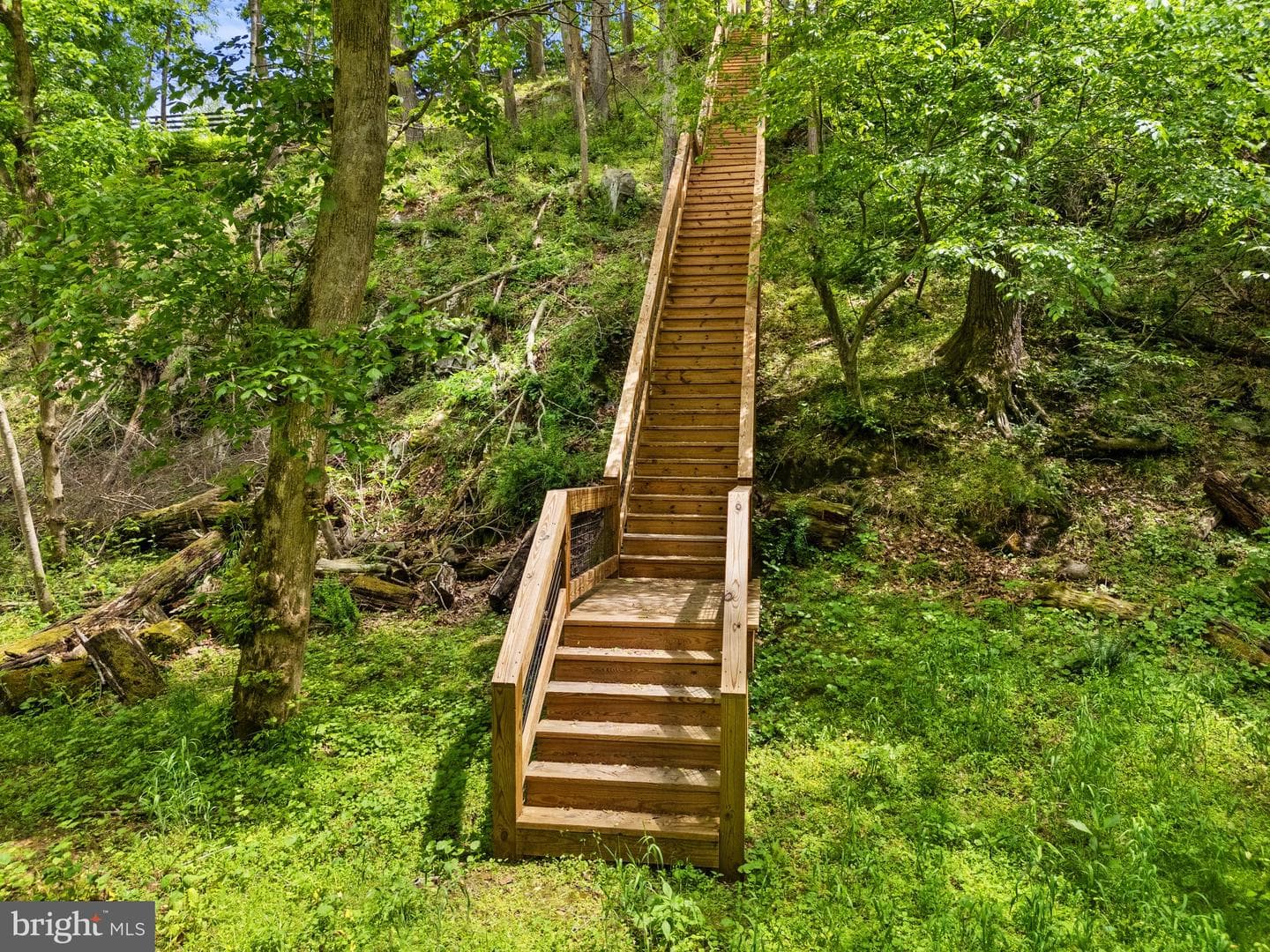 23103 Kirk Branch Road photo 63
