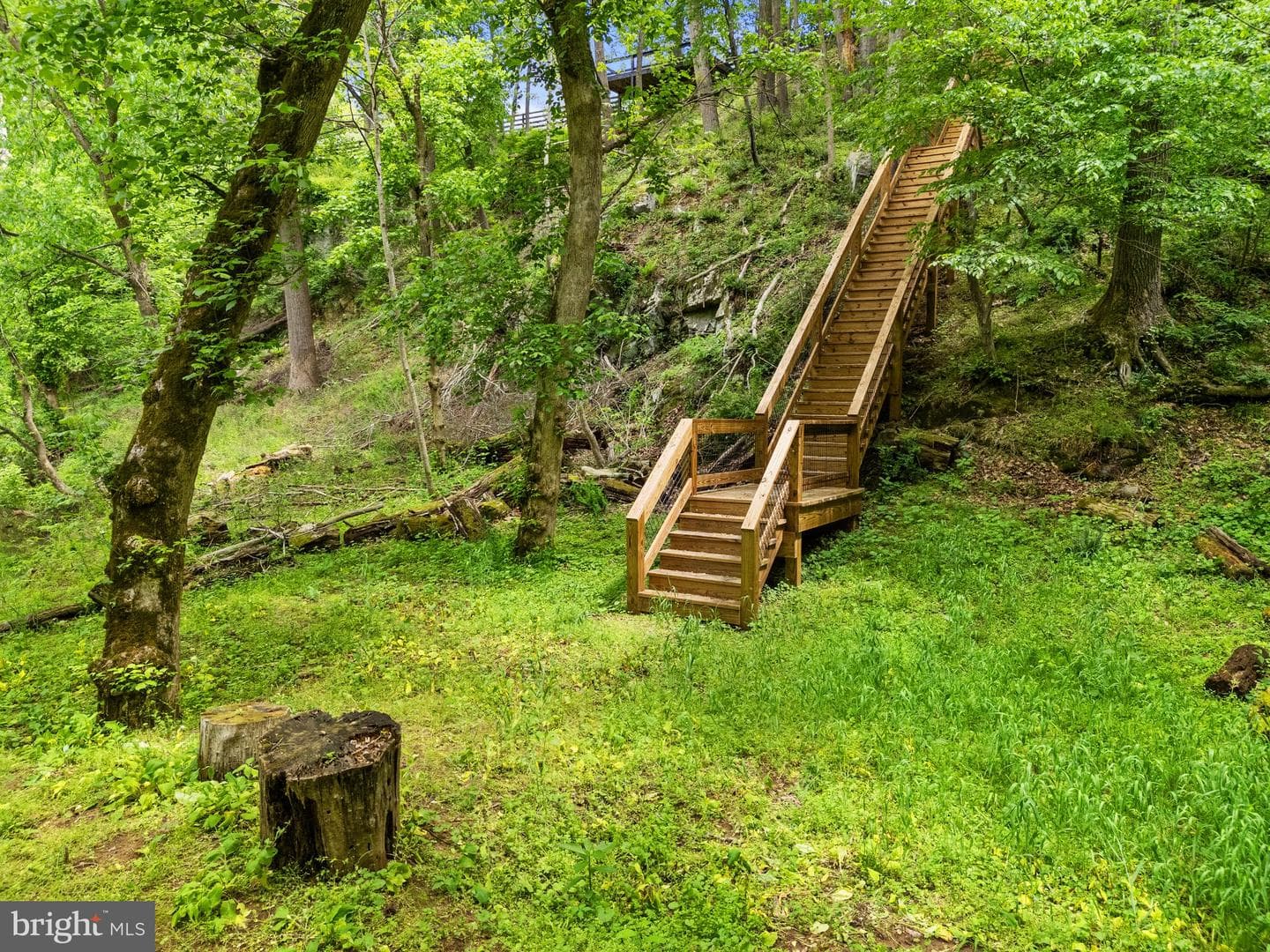 23103 Kirk Branch Road photo 64