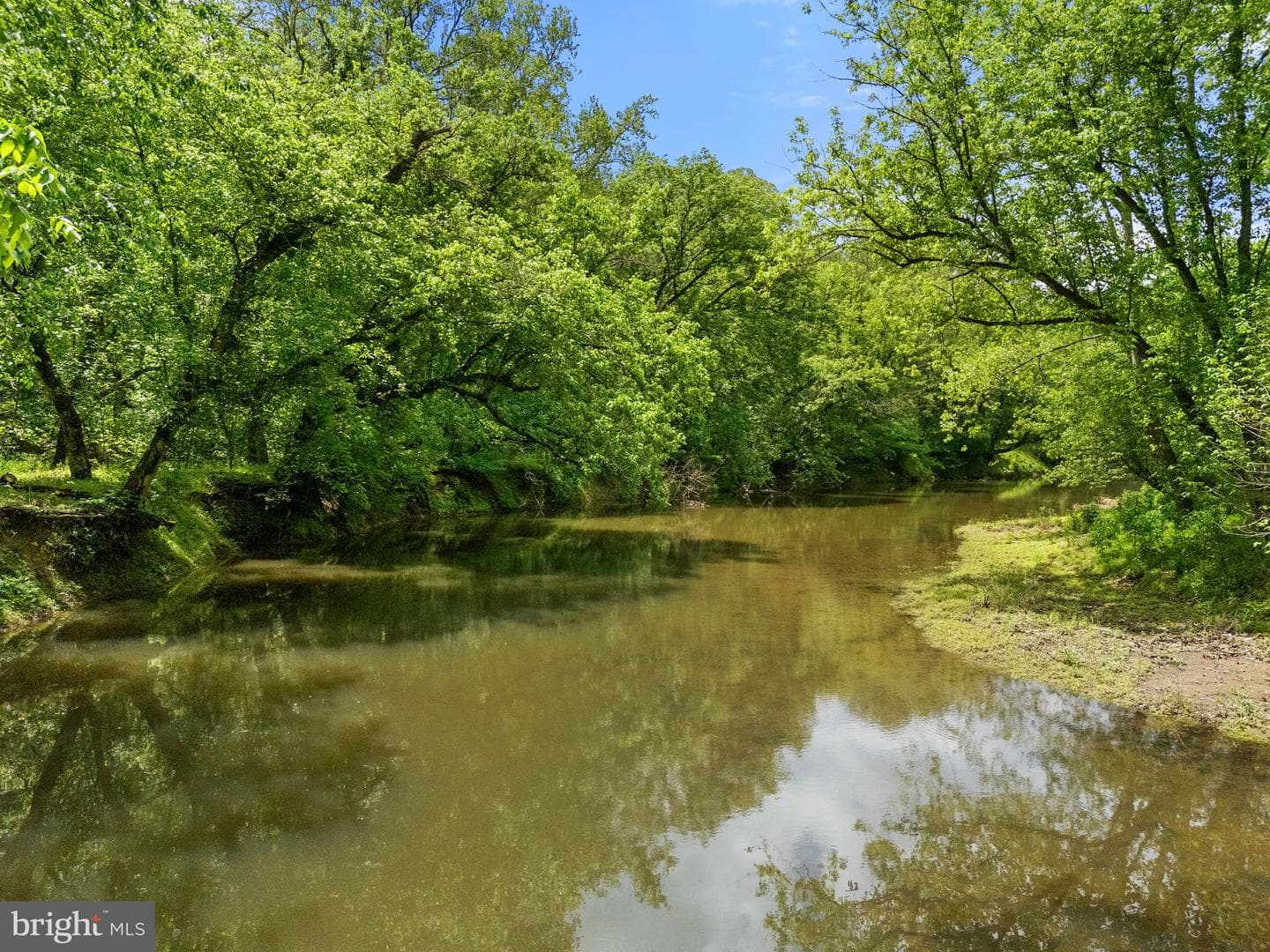 23103 Kirk Branch Road photo 65
