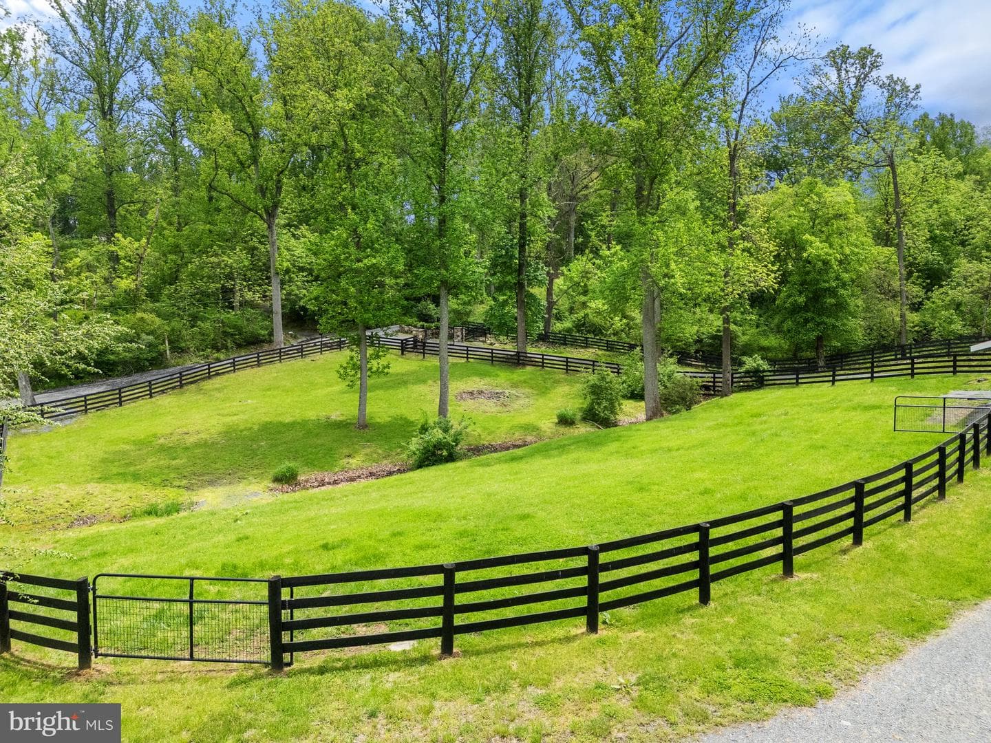 23103 Kirk Branch Road photo 8