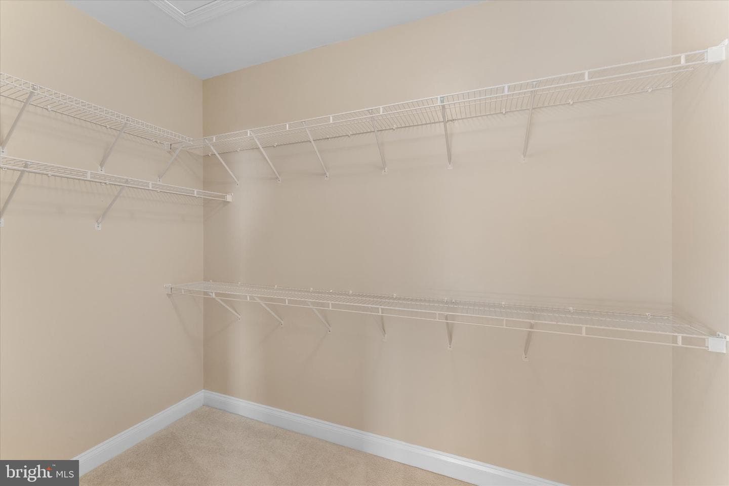 17181 Bold Venture Drive photo 21