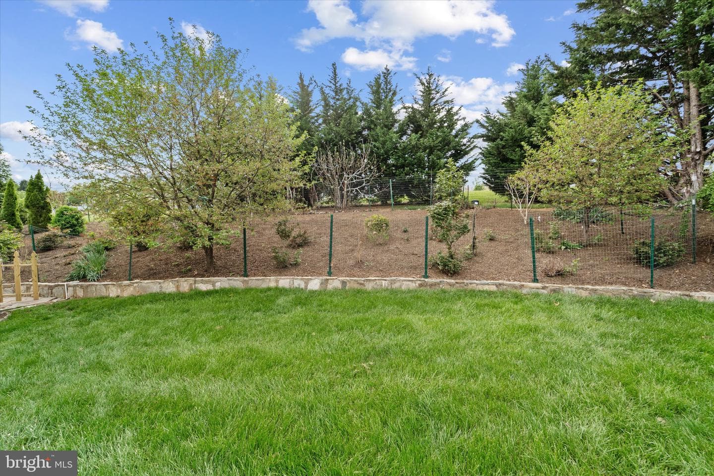 17181 Bold Venture Drive photo 57