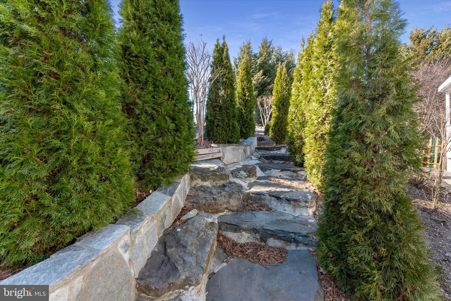 17181 Bold Venture Drive photo 60