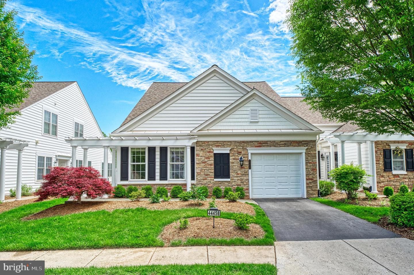 44458 Maltese Falcon Square photo 1
