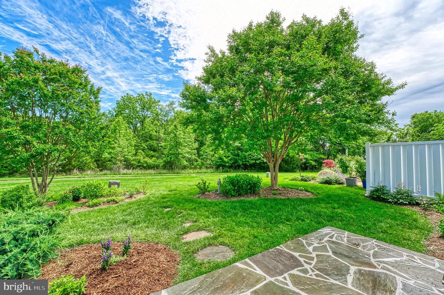44458 Maltese Falcon Square photo 33