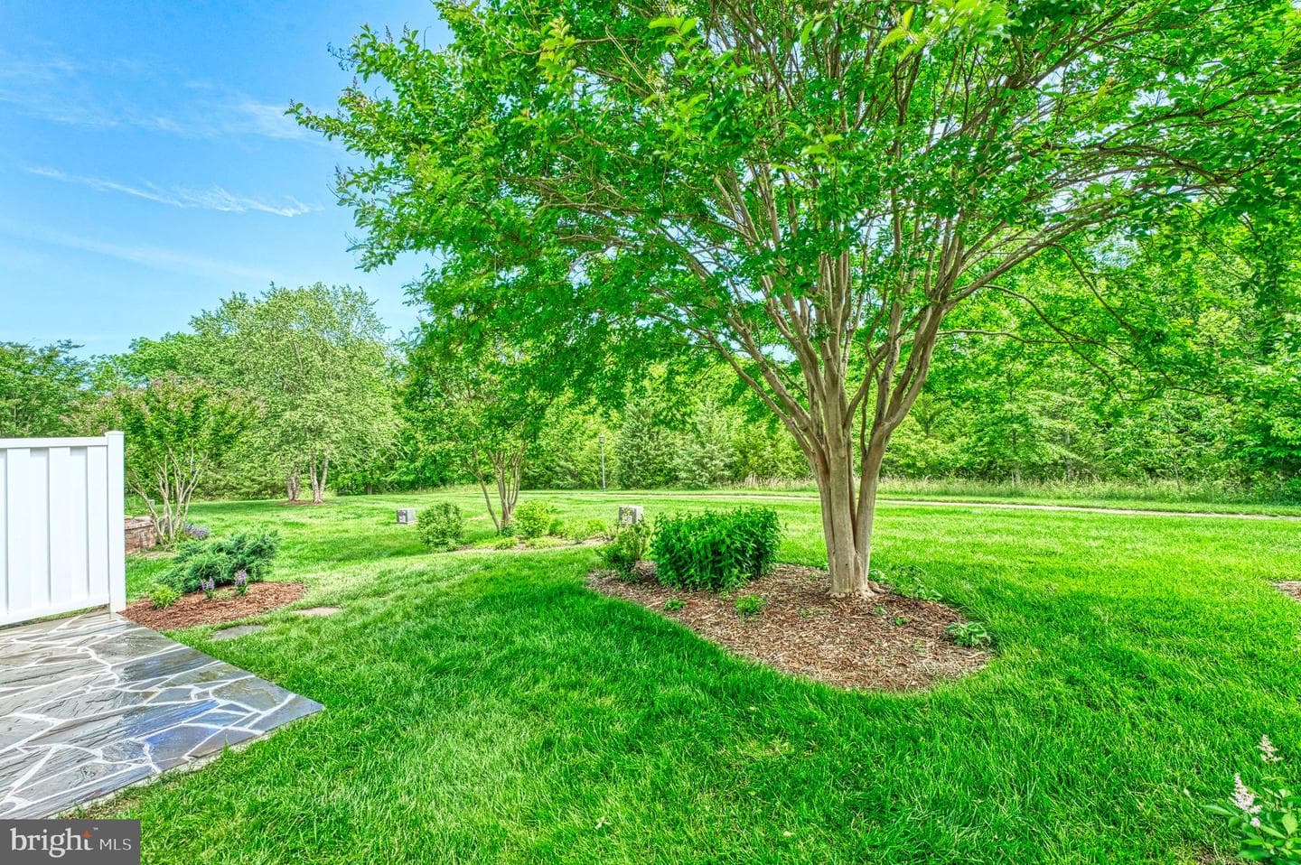 44458 Maltese Falcon Square photo 34