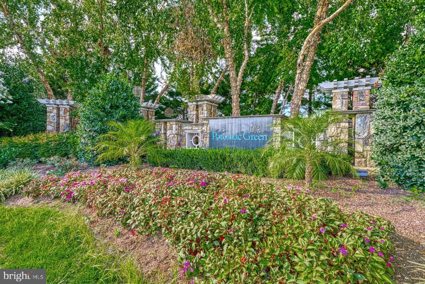 44458 Maltese Falcon Square photo 38