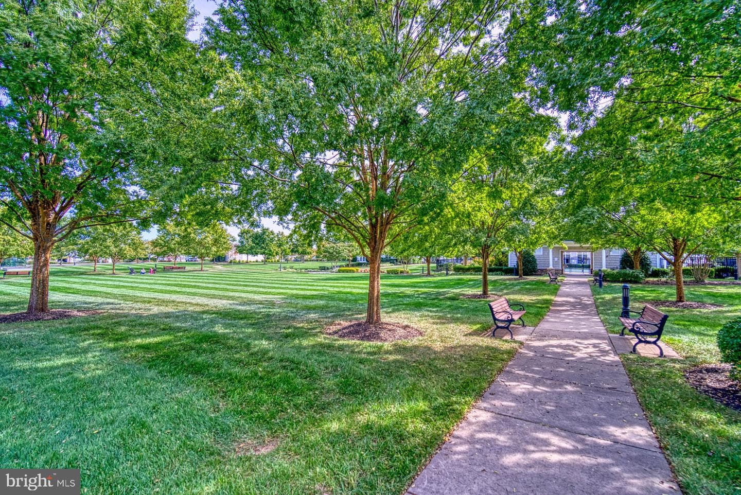 44458 Maltese Falcon Square photo 40