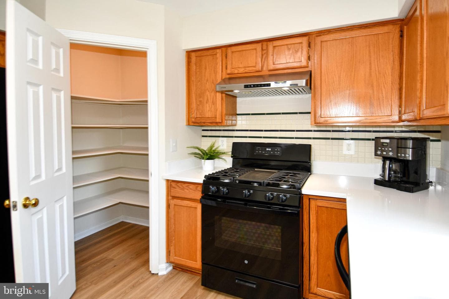 43193 Ribboncrest Terrace photo 8
