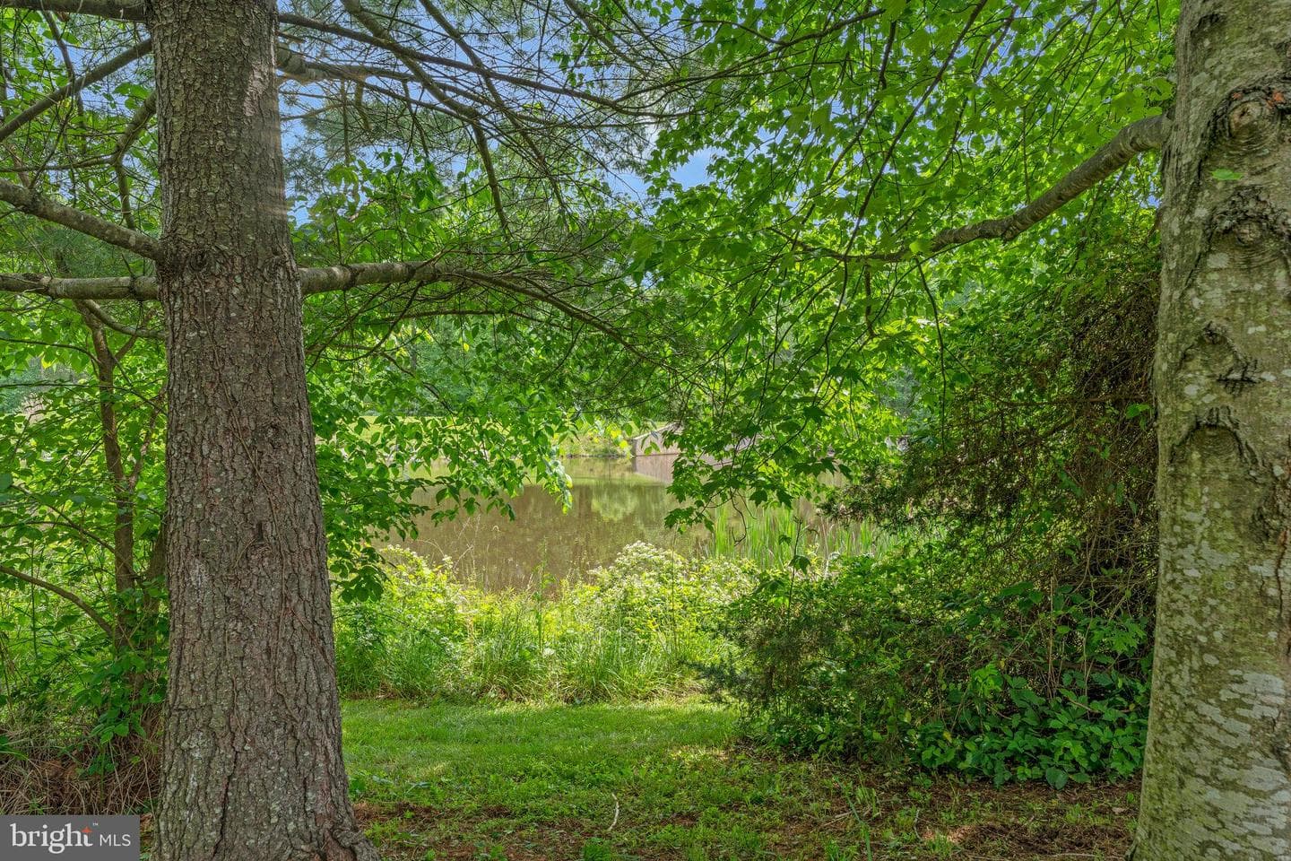 26222 Ocala Circle photo 70