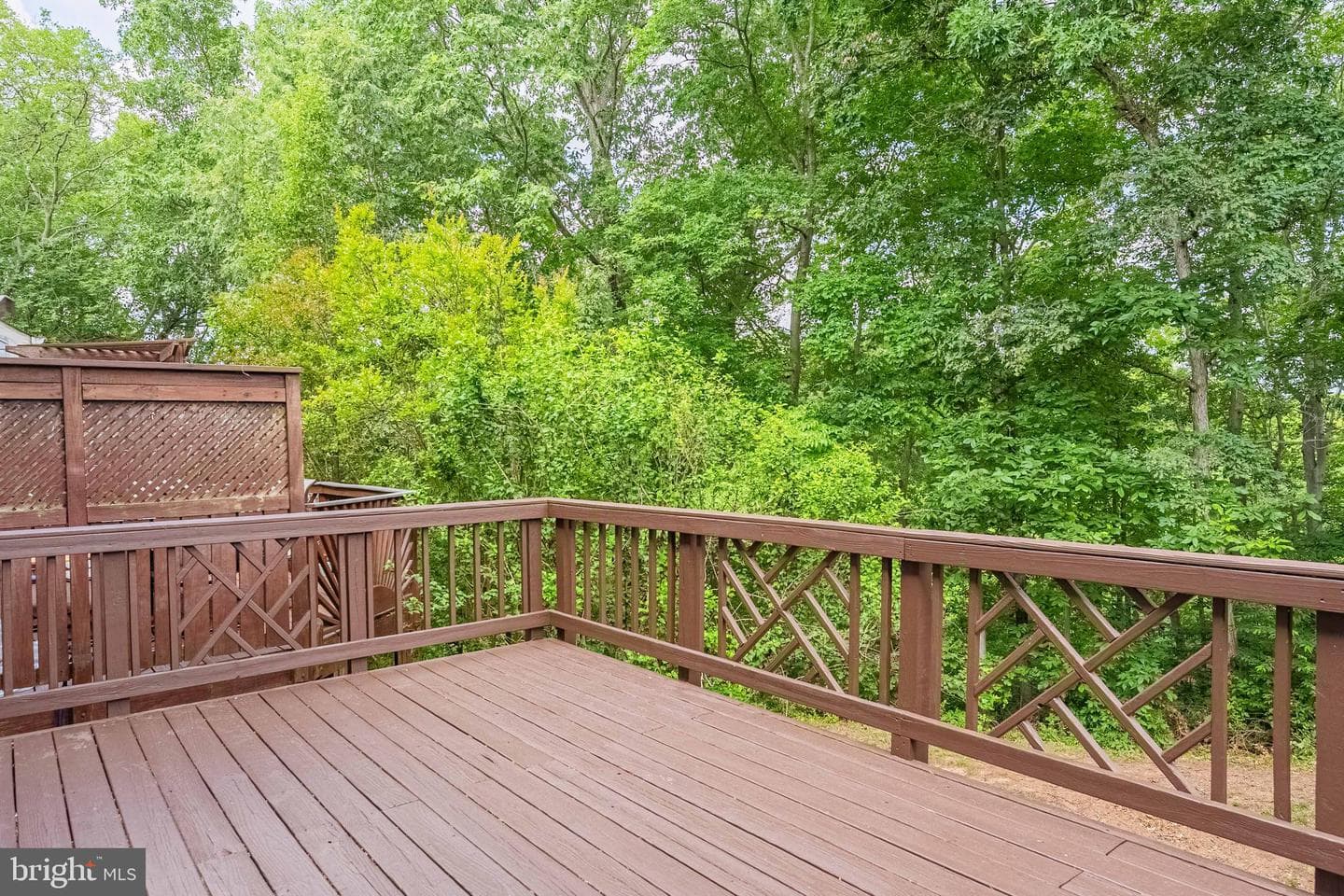 20683 Waterfall Branch Terrace photo 24
