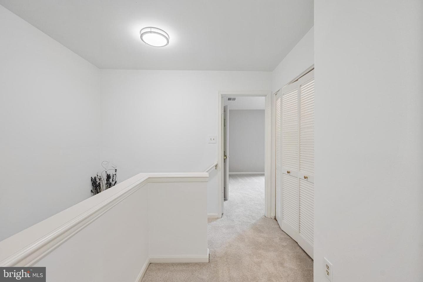 20683 Waterfall Branch Terrace photo 40