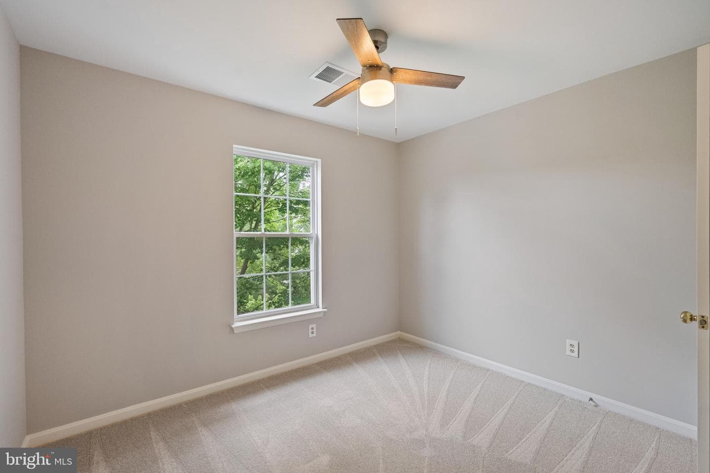 20683 Waterfall Branch Terrace photo 56
