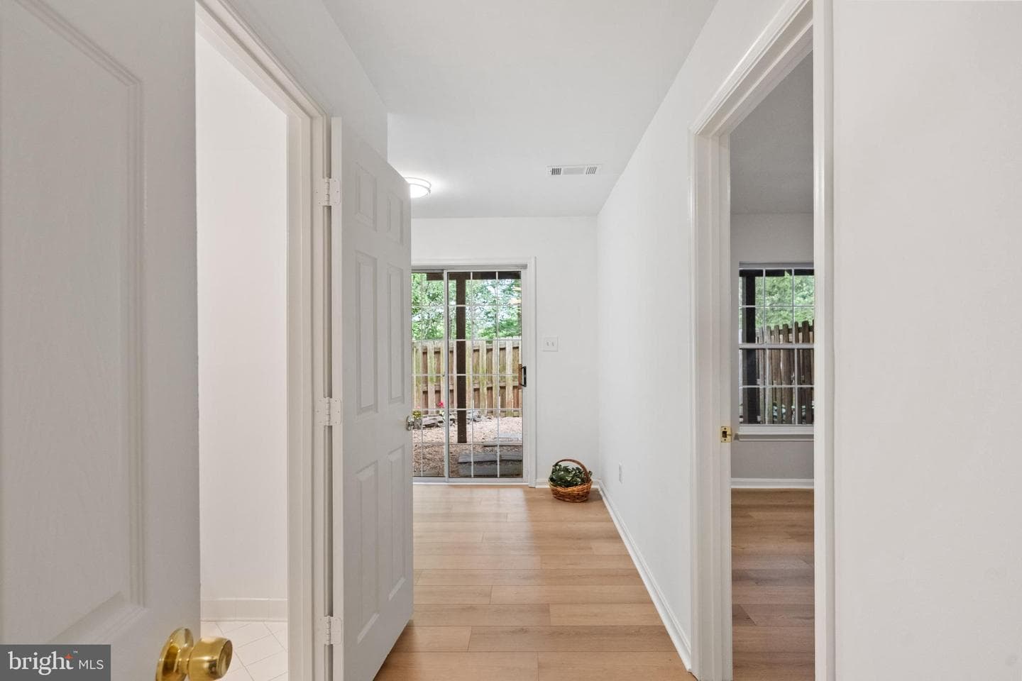 20683 Waterfall Branch Terrace photo 6