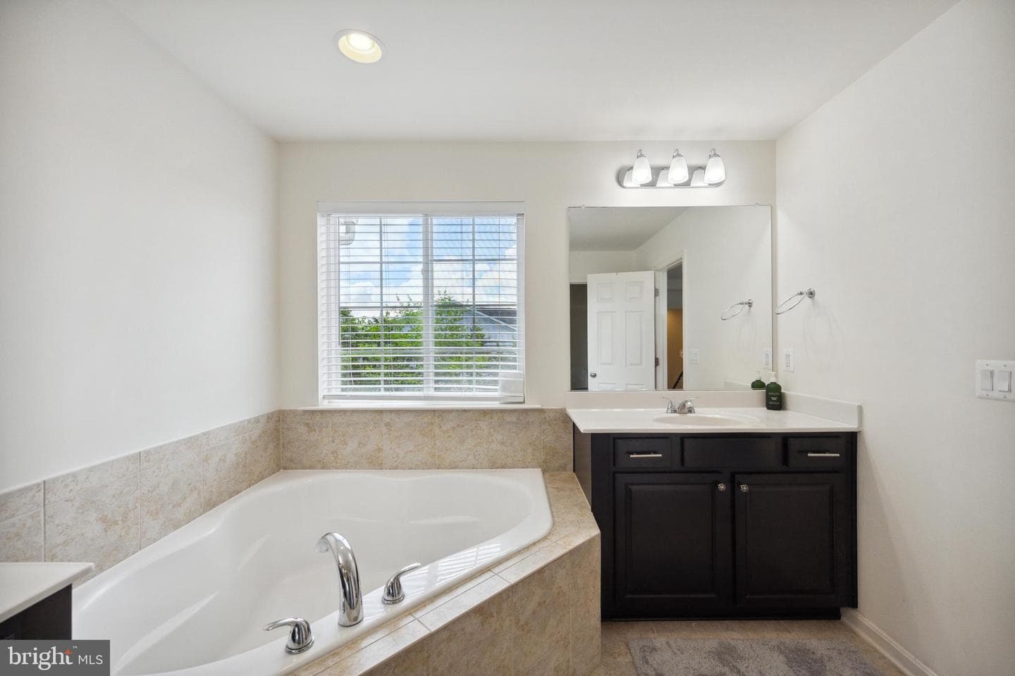 43447 Sweet Brandy Terrace photo 19