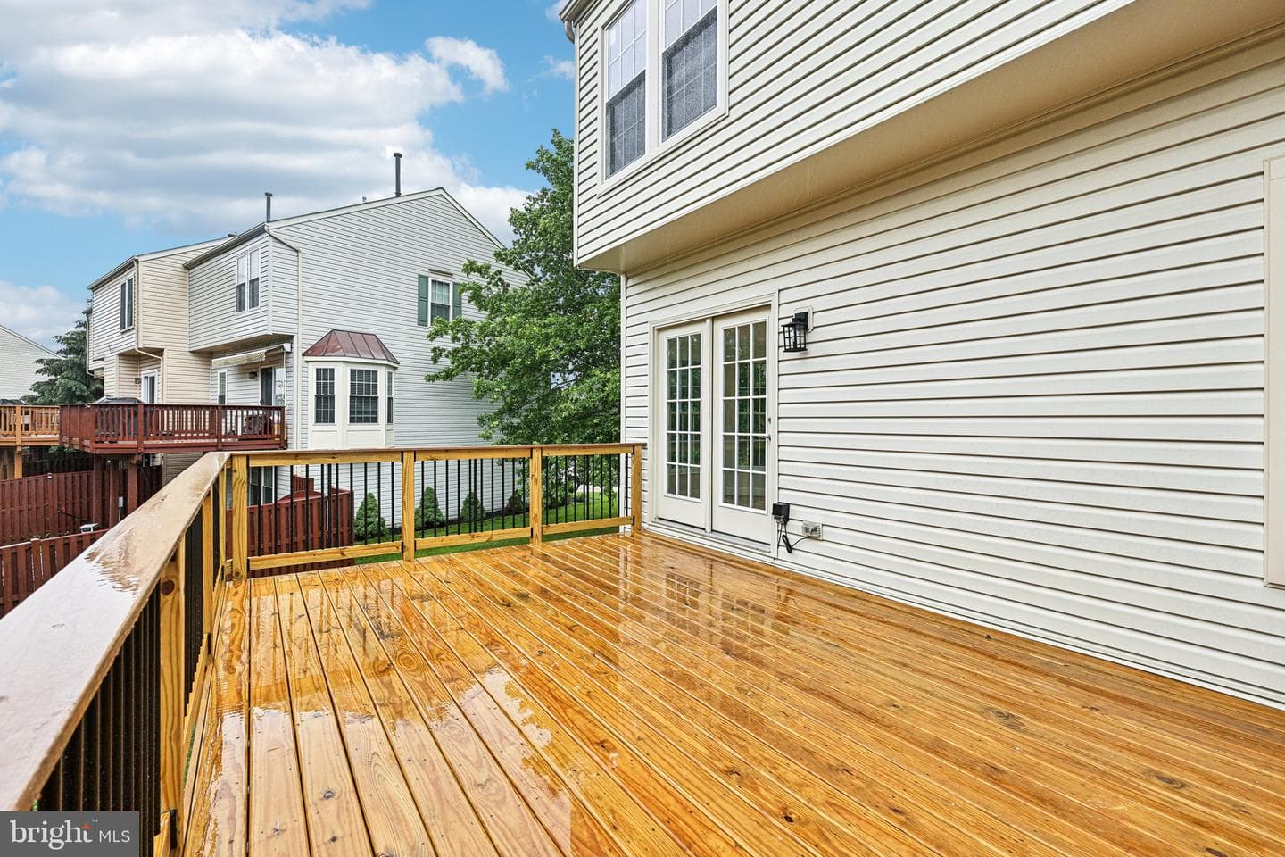 43212 Chokeberry Square photo 36