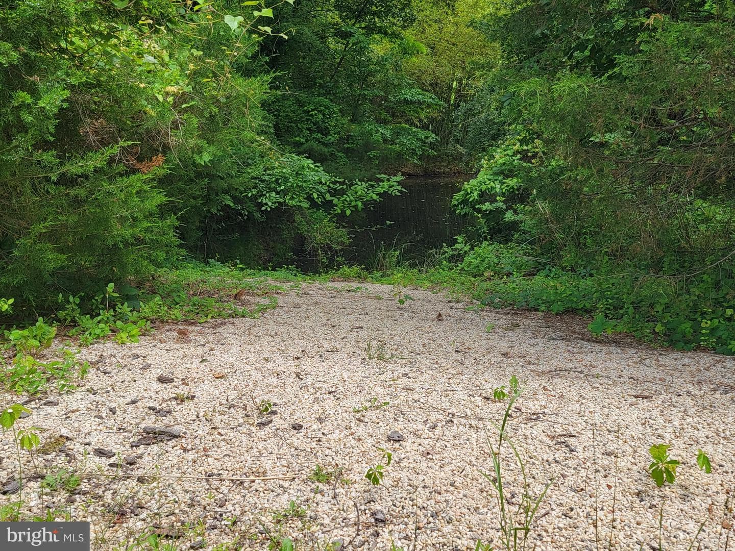 21785 Watson Road photo 47