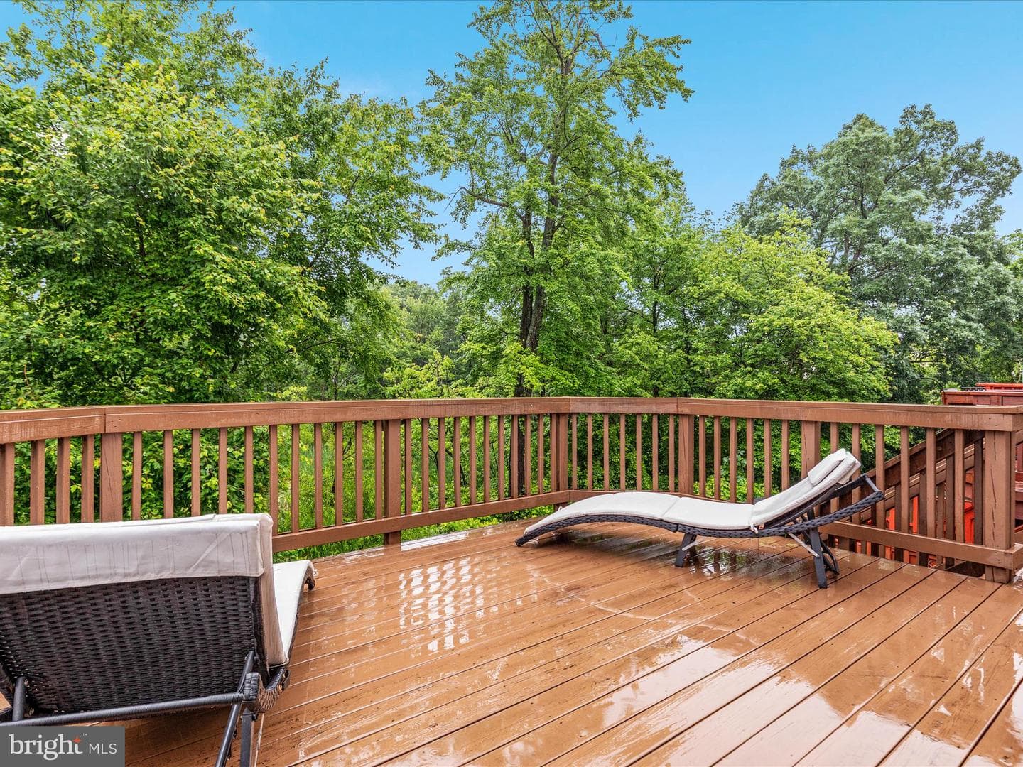 22340 Great Trail Terrace photo 20