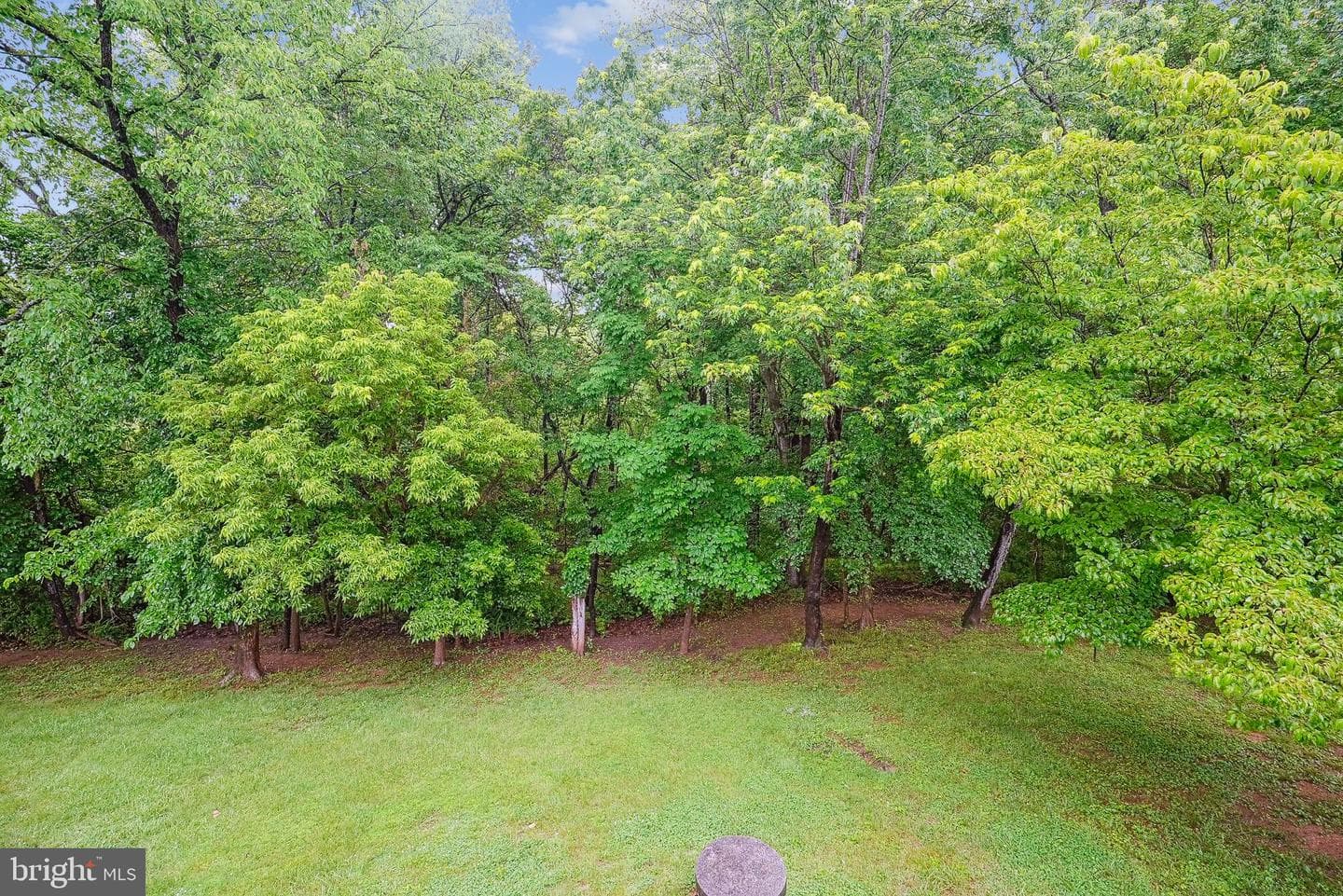 14732 Rose Hollow Lane photo 20