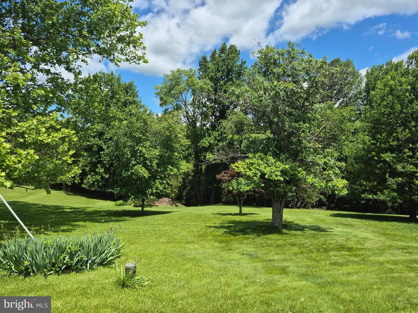 14732 Rose Hollow Lane photo 23