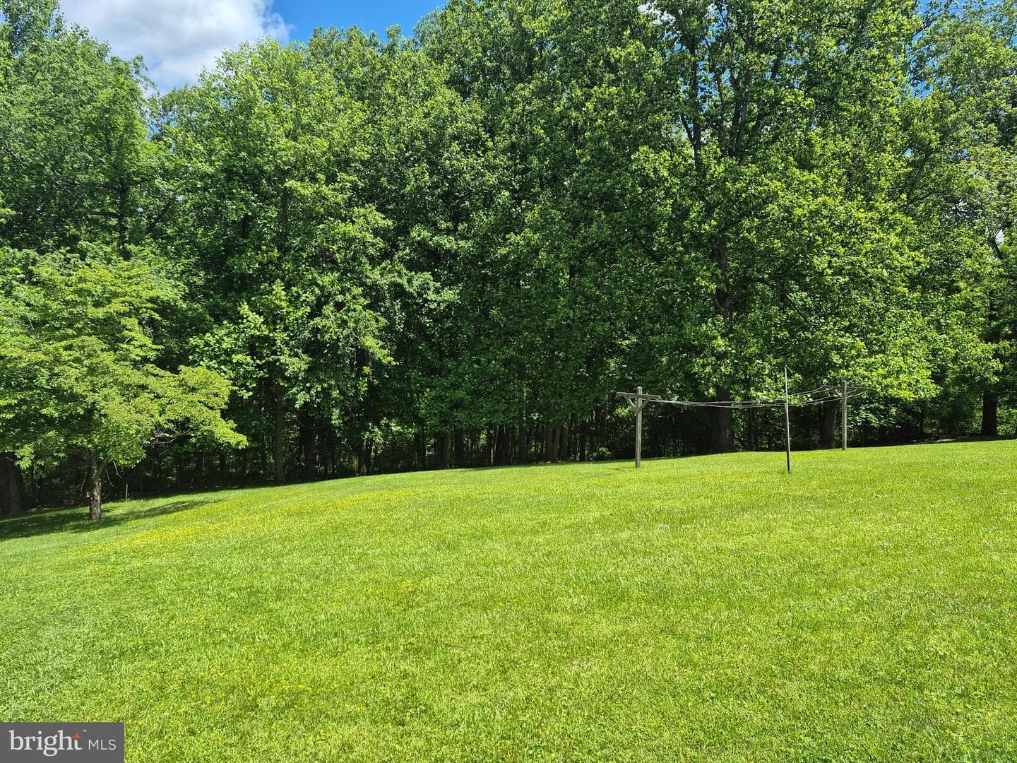 14732 Rose Hollow Lane photo 28