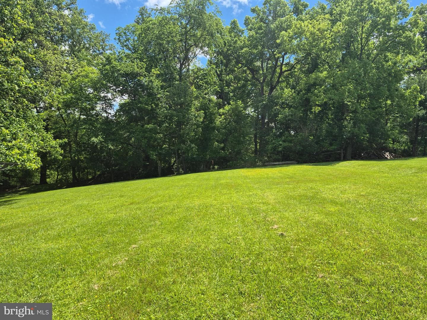 14732 Rose Hollow Lane photo 29
