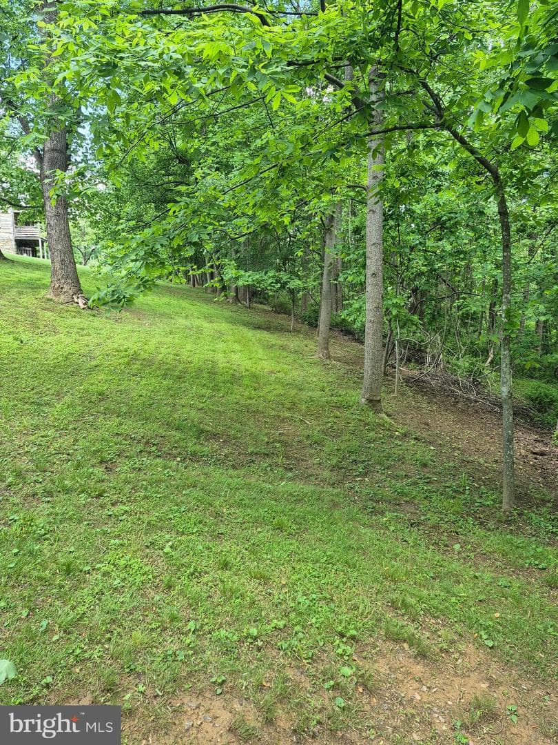14732 Rose Hollow Lane photo 30