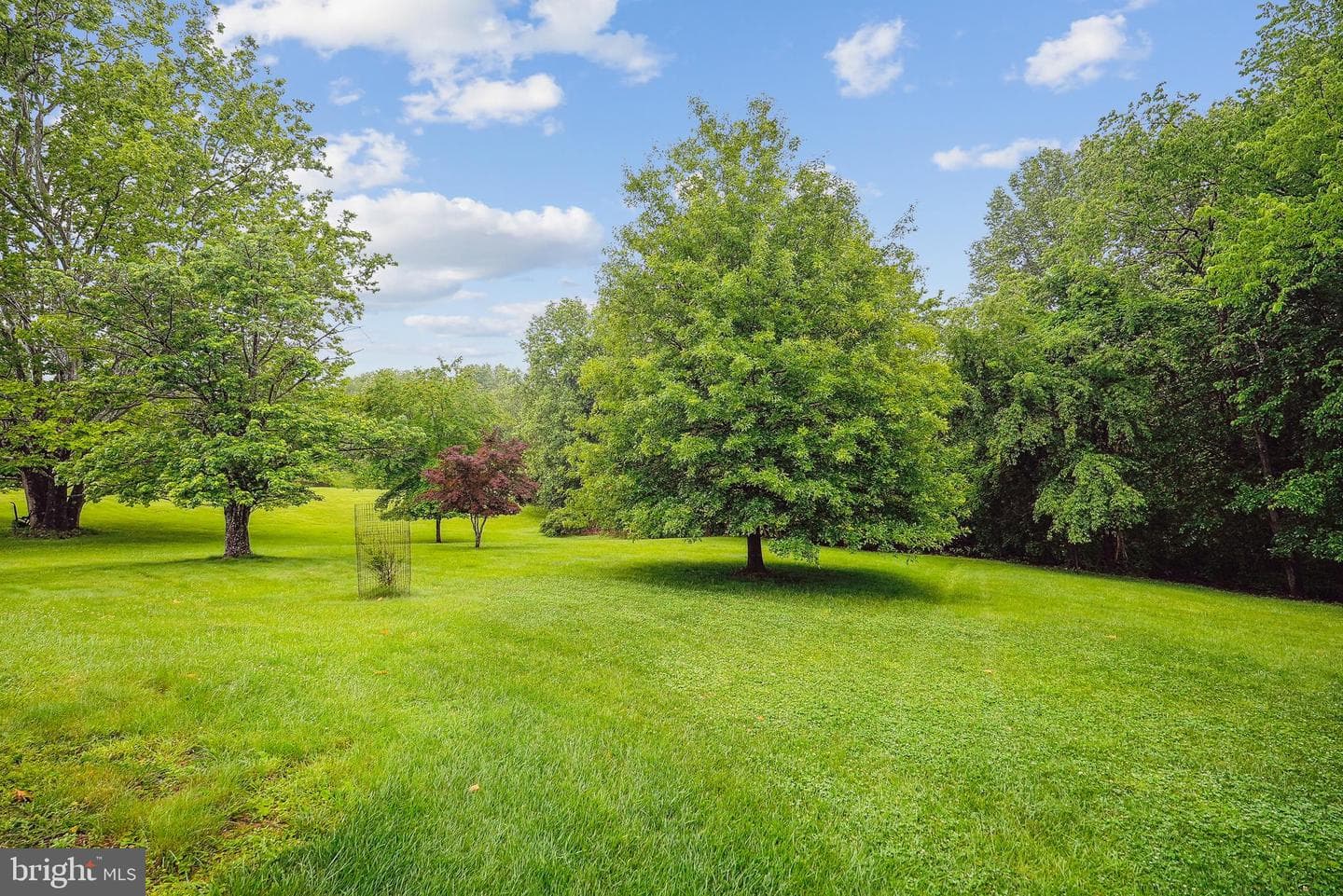 14732 Rose Hollow Lane photo 32