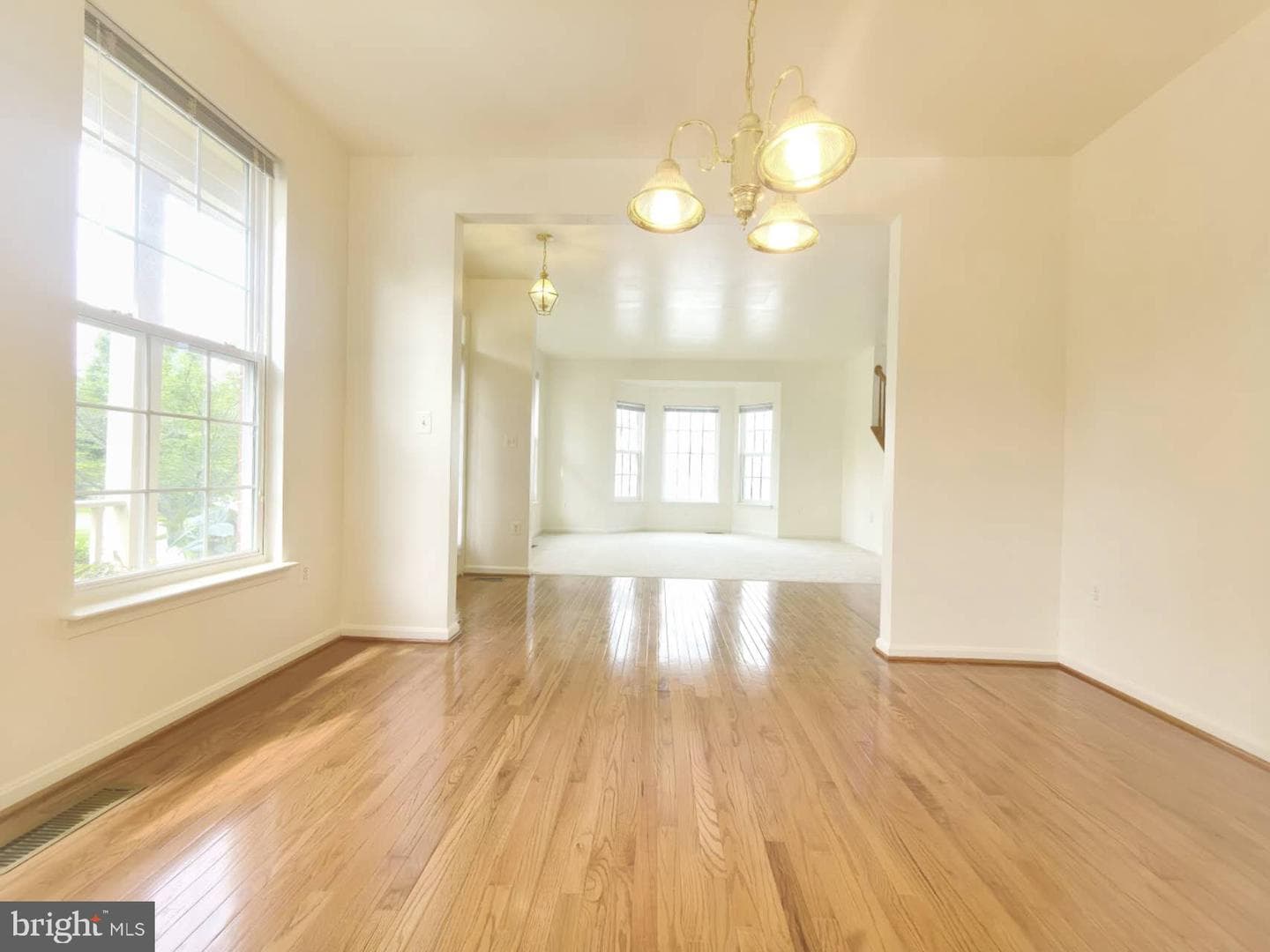 35547 Sarasota Street photo 2