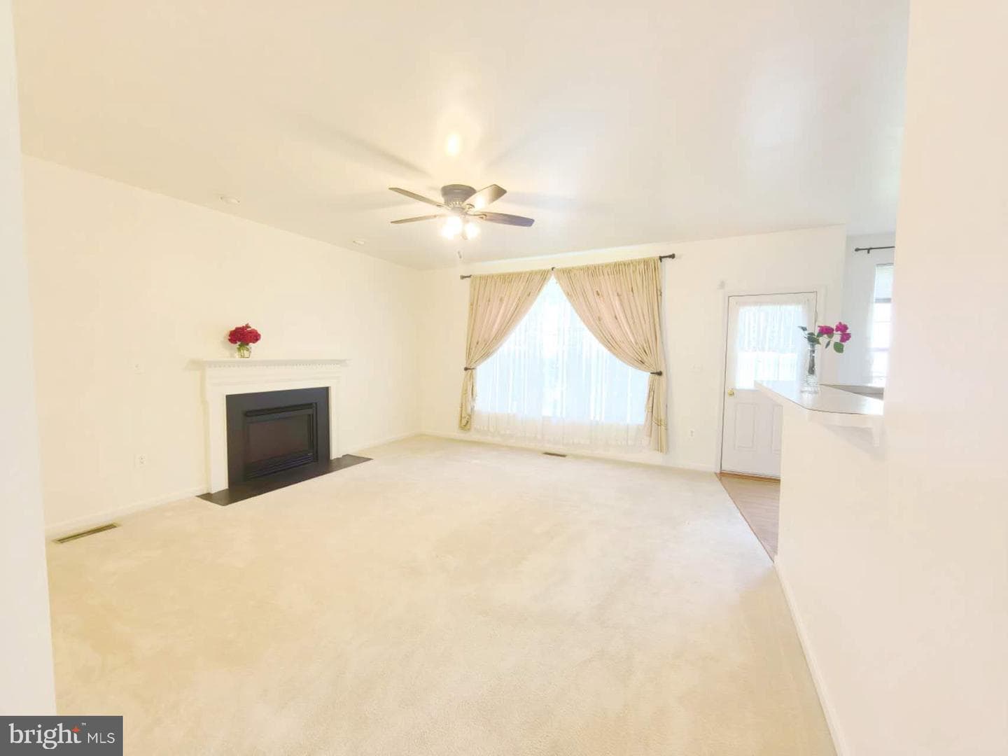 35547 Sarasota Street photo 7