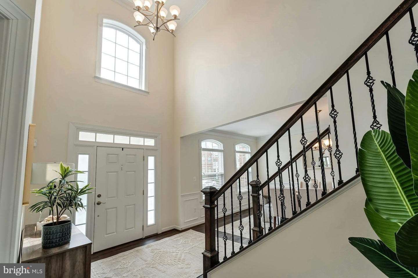41706 Deer Grass Terrace photo 10
