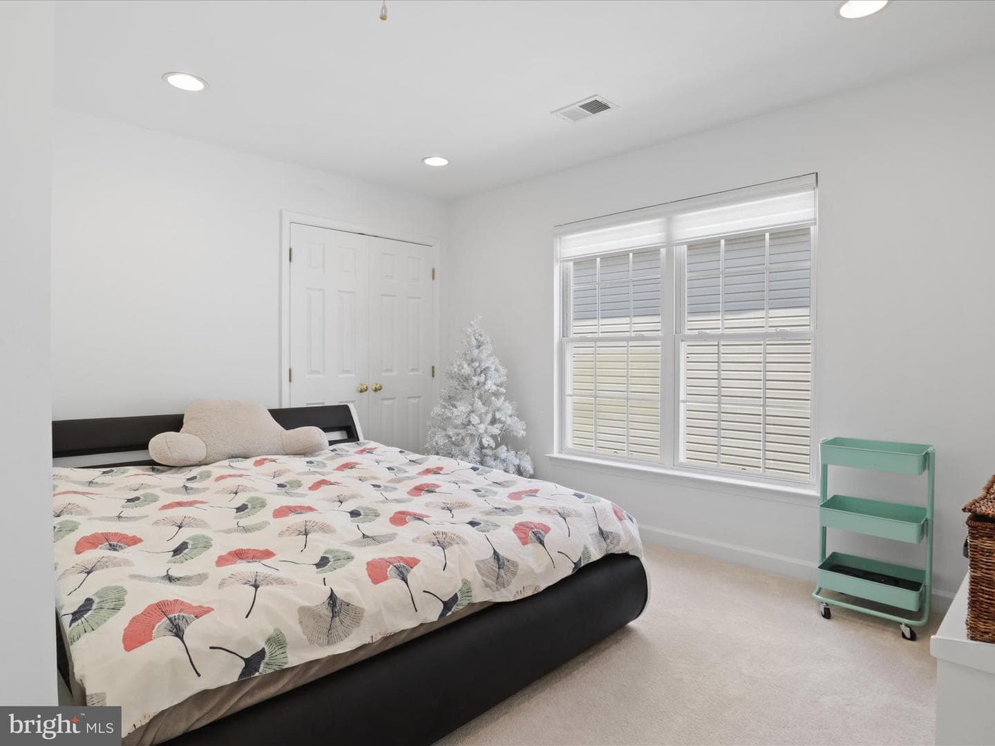 25738 S Village Drive photo 28