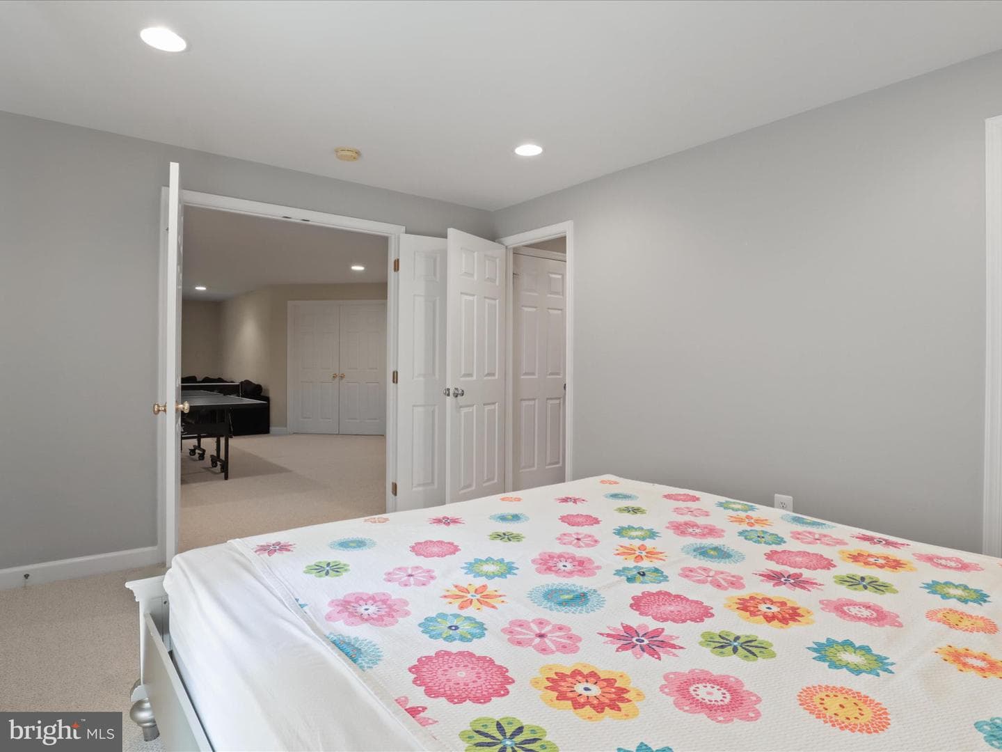 25738 S Village Drive photo 46