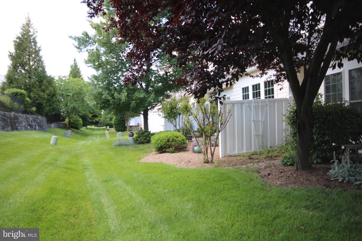 44497 Maltese Falcon Square photo 31