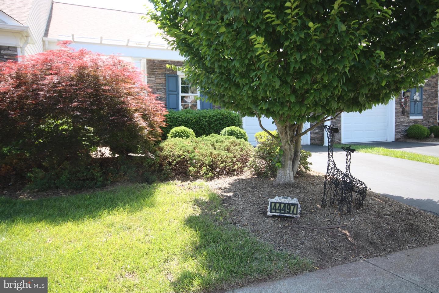 44497 Maltese Falcon Square photo 4