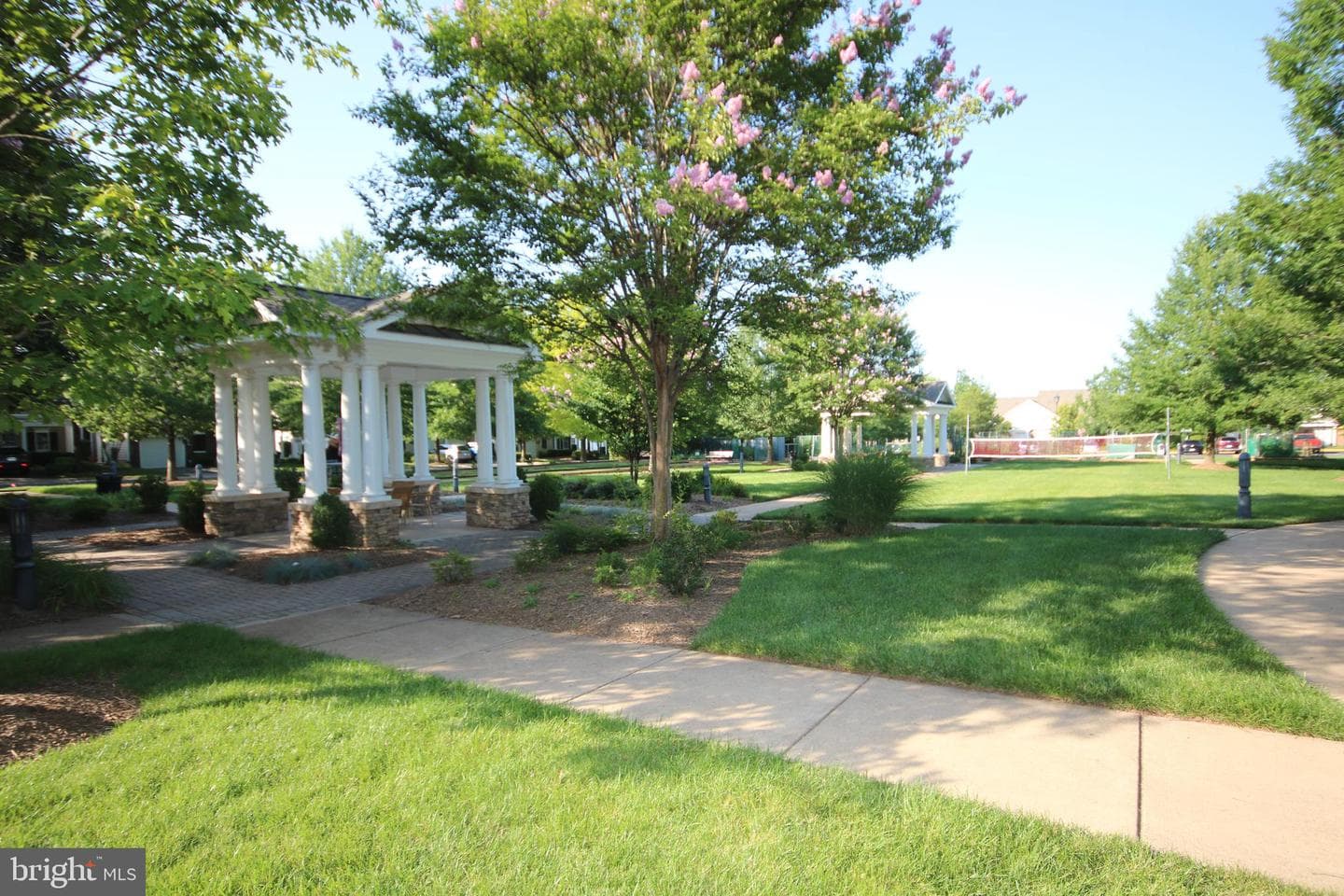 44497 Maltese Falcon Square photo 42