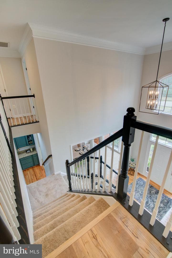 42346 Ponderosa Drive photo 59
