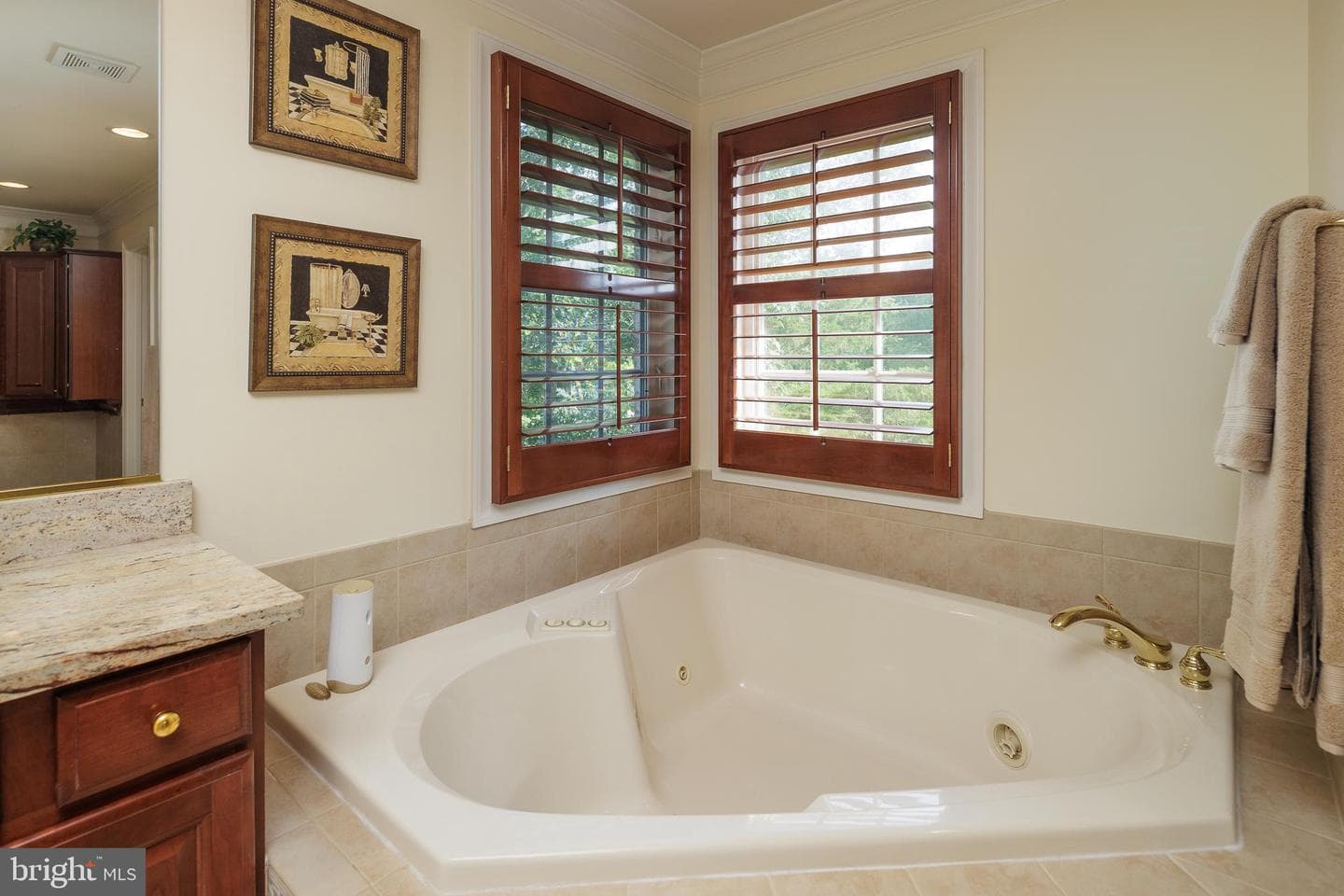 18256 Shinniecock Hills Place photo 52