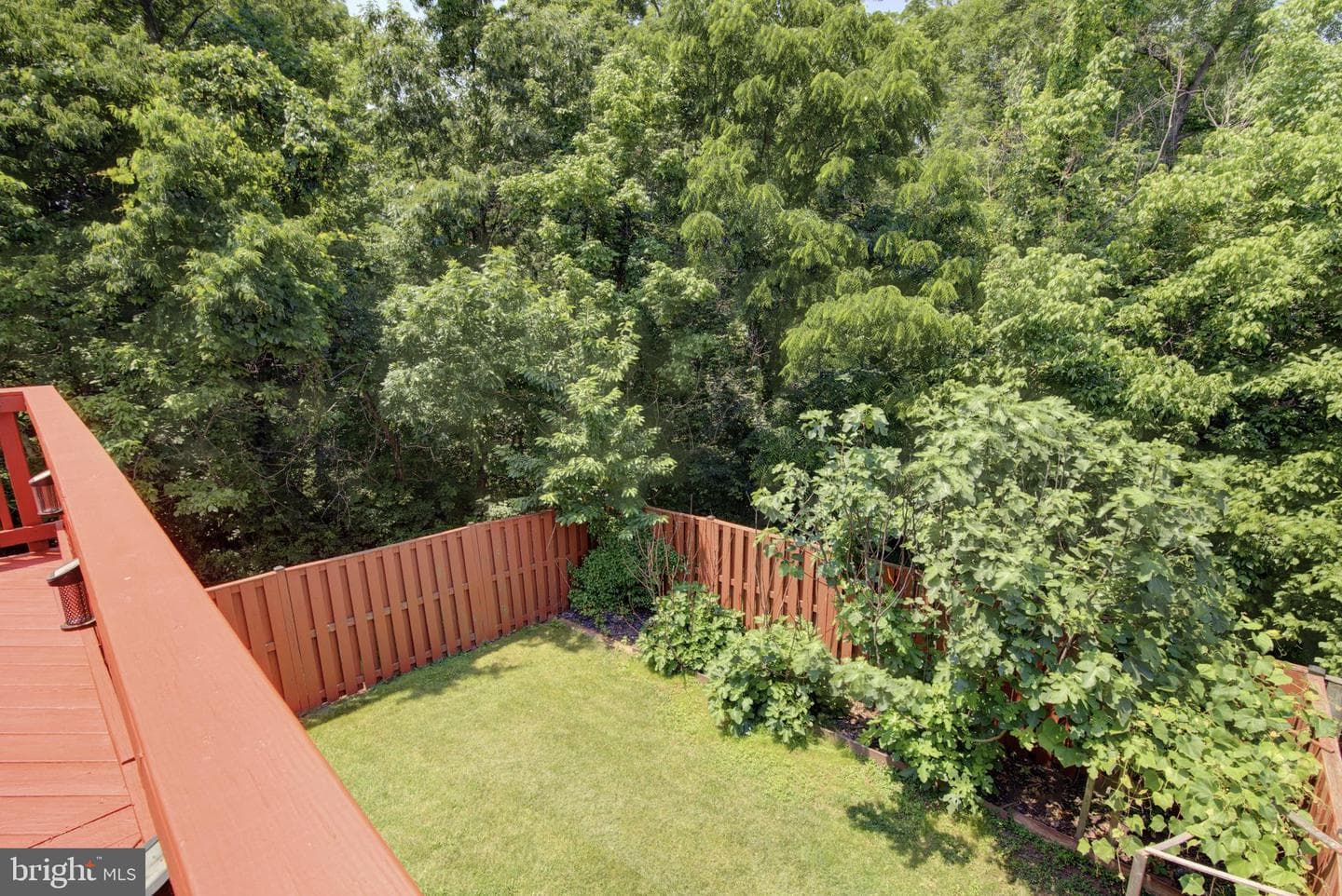 43855 Tattinger Terrace photo 46