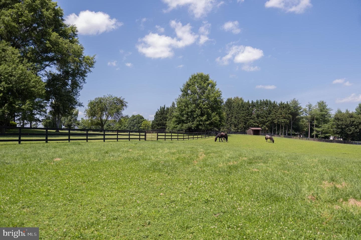 35653 Millville Road photo 59