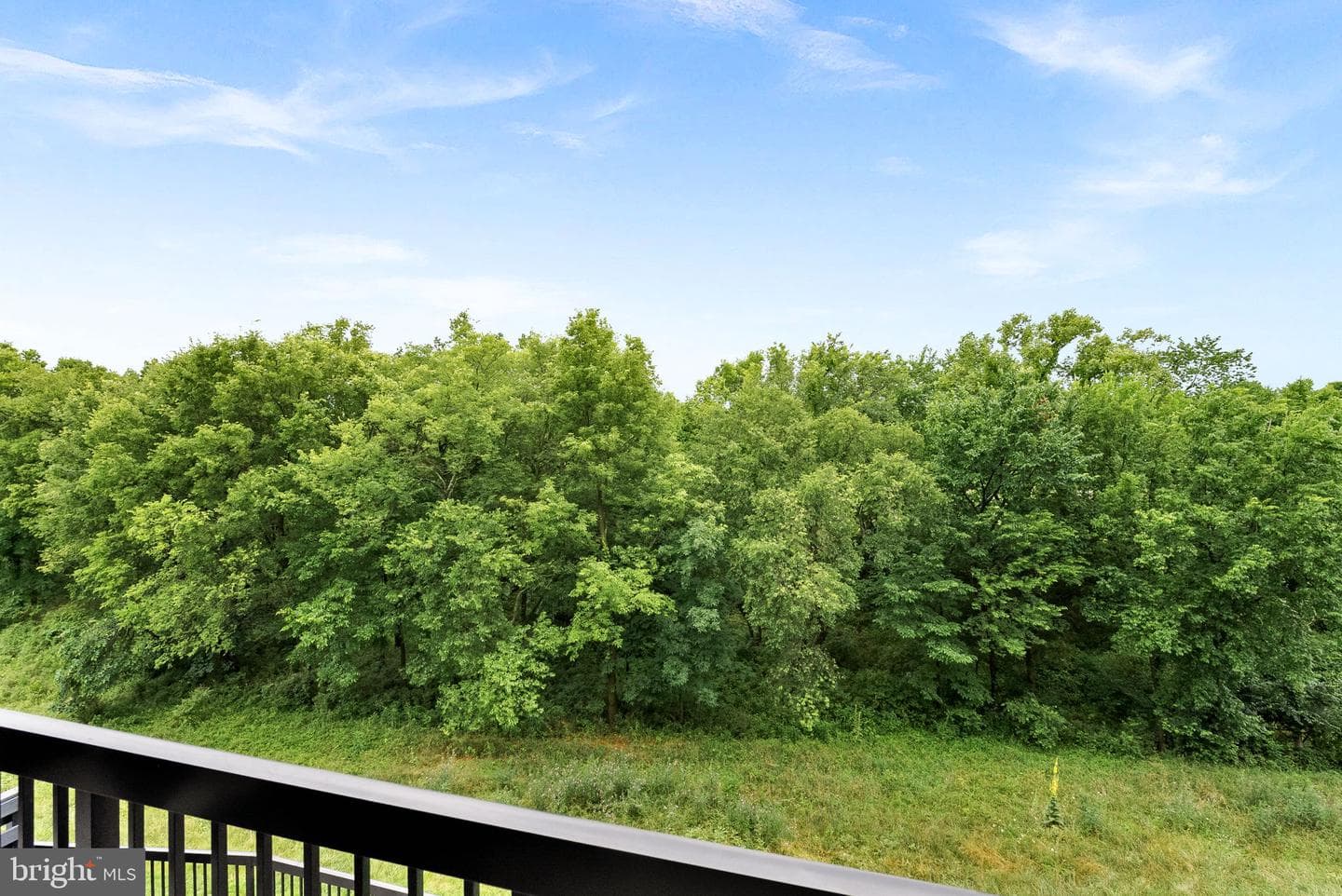 44691 Wellfleet Drive #306 photo 45