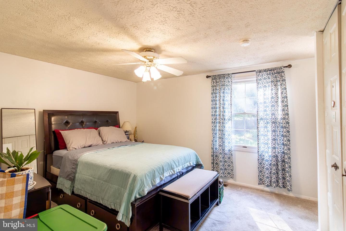 313 Samantha Drive photo 19