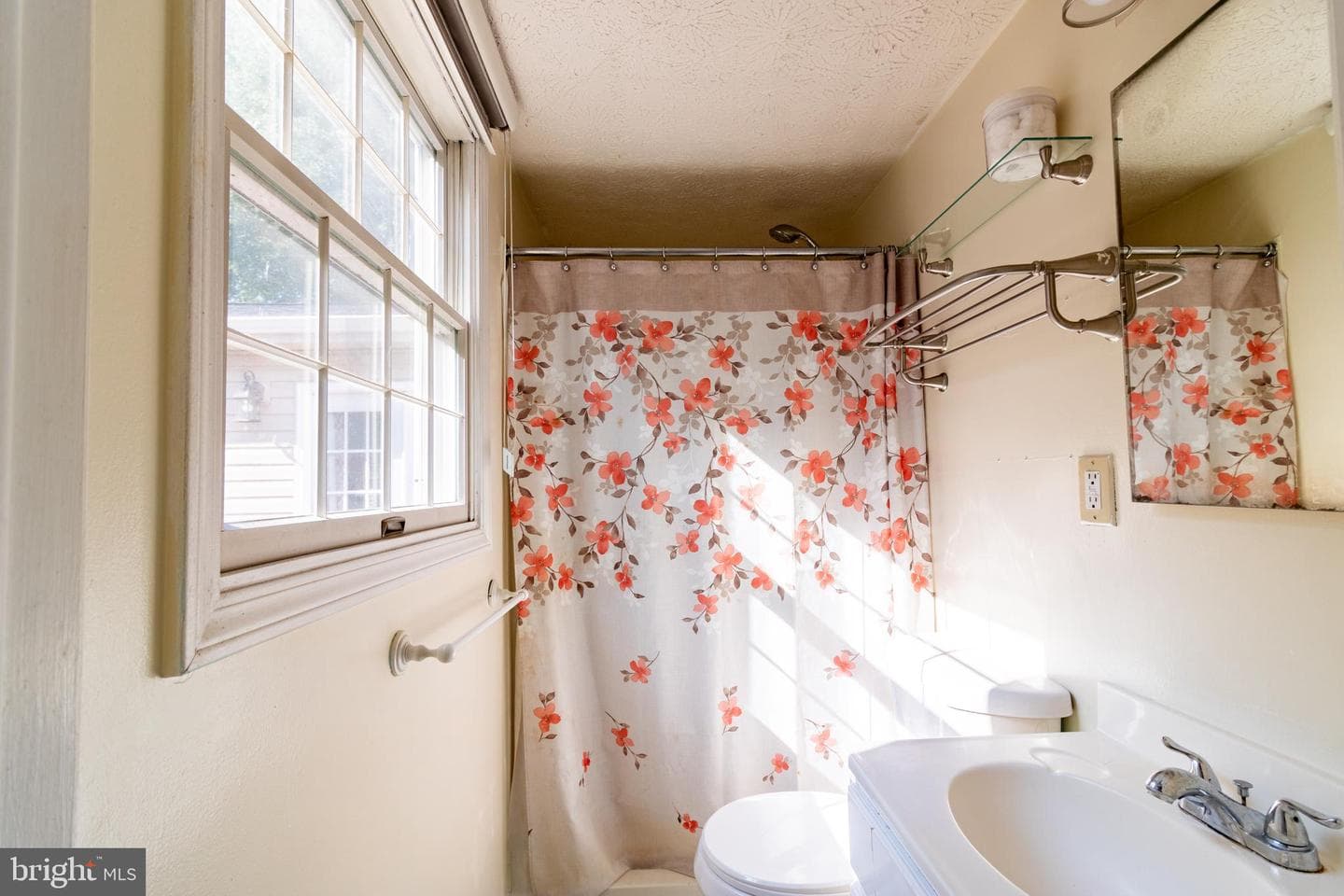 313 Samantha Drive photo 20