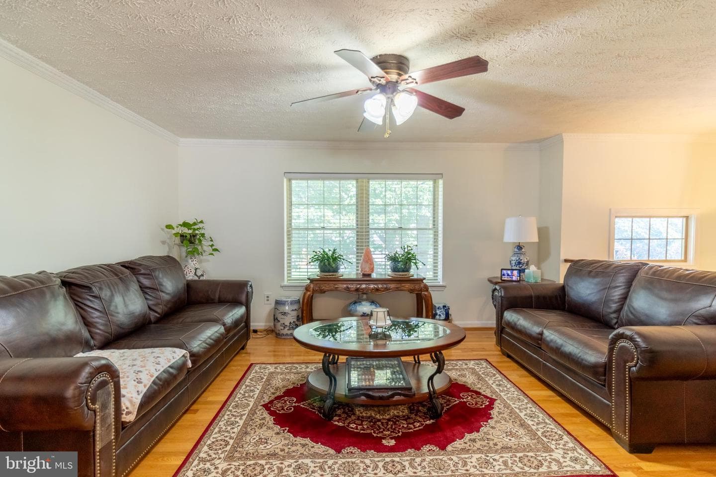 313 Samantha Drive photo 4