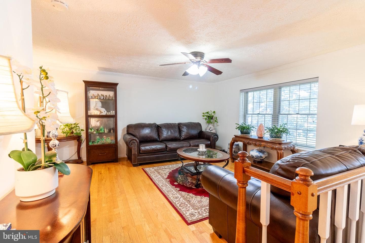 313 Samantha Drive photo 5