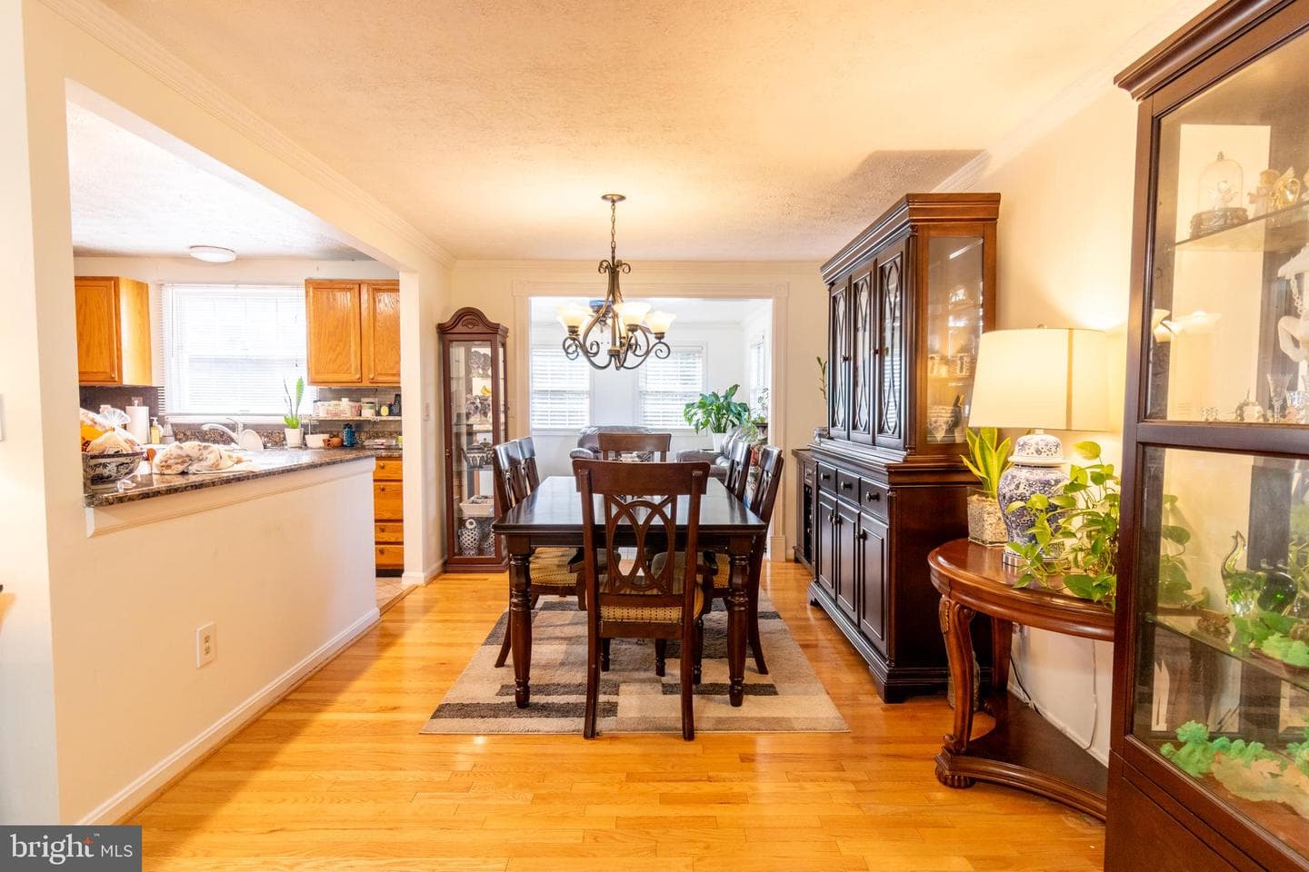 313 Samantha Drive photo 6