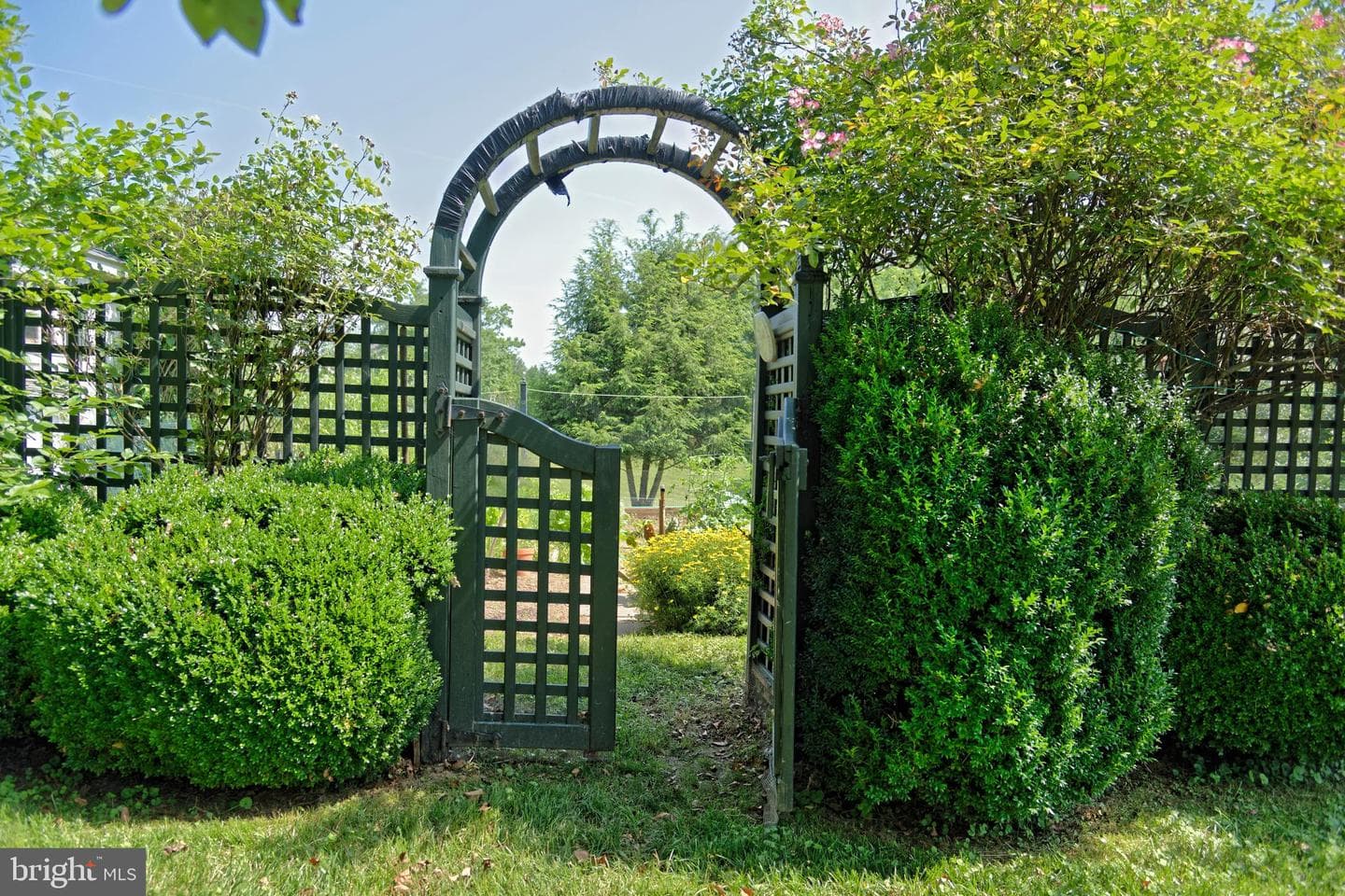 23358 Dover Road photo 39